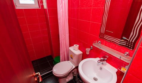 Стандарт двухместный. Гостевой дом Светлана, Сочи, Адлер