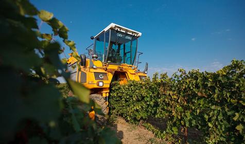 Южная Винная Компания