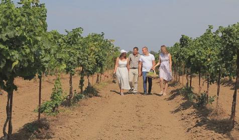 Центр винного туризма Южная Винная Компания