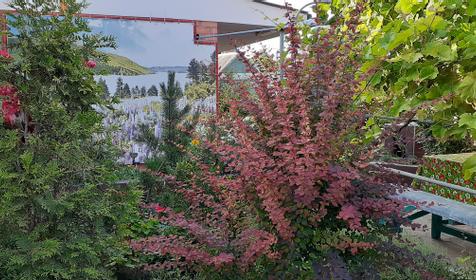 Гостевой дом Свобода. Ейск