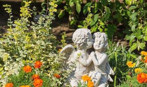 Отель Грант. Сочи, Адлер