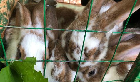 Горный простор