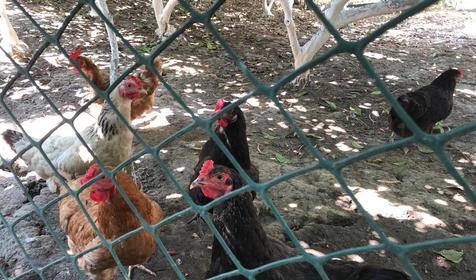 Горный простор