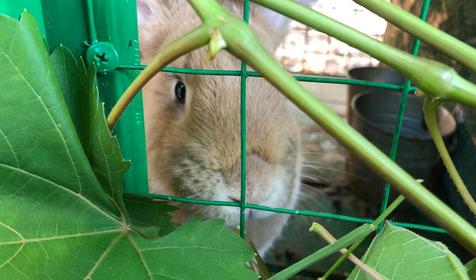 Горный простор