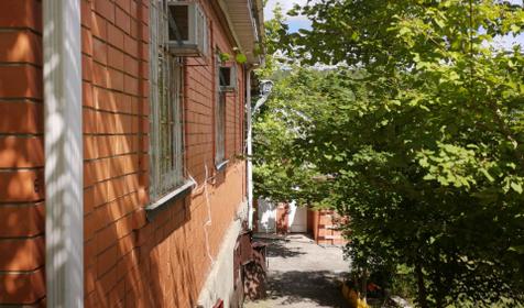 Платановая роща