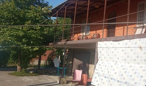 Платановая роща