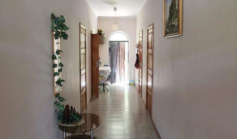 Платановая роща