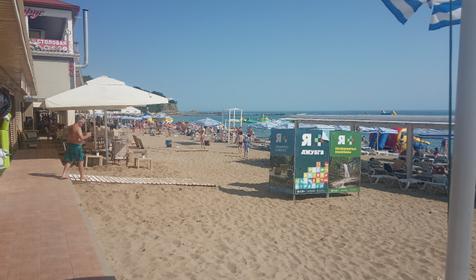 Платановая роща