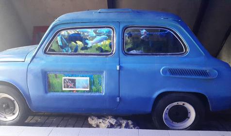 Океанариум. Геленджик, Архипо-Осиповка