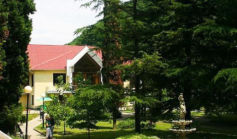 Санаторий Янтарь. Сочи, Лазаревское