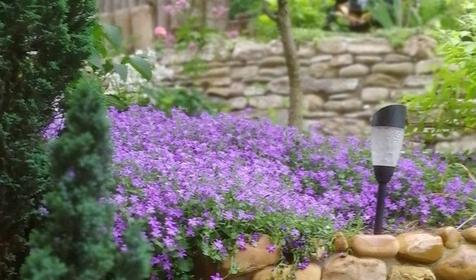 На Приморской