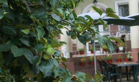 Частный дом "Дом у Моря", Адлер