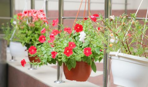 Частный дом "Дом у Моря", Адлер