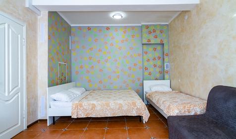 Студия пятиместная с мини-кухней