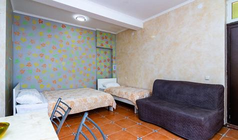 Студия пятиместная с мини-кухней