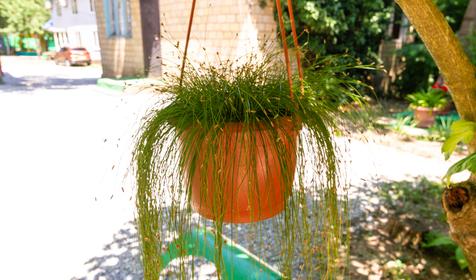 База отдыха Дружба, г. Геленджик, с. Архипо-Осиповка