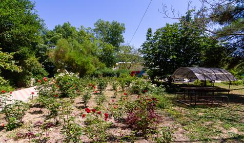 База отдыха Дружба, г. Геленджик, с. Архипо-Осиповка