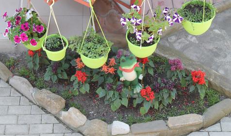 Гостевой дом Дав-руд, Туапсиский район, Ольгинка