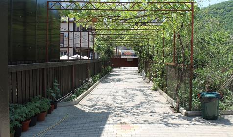 Гостевой дом Дав-руд, Туапсиский район, Ольгинка