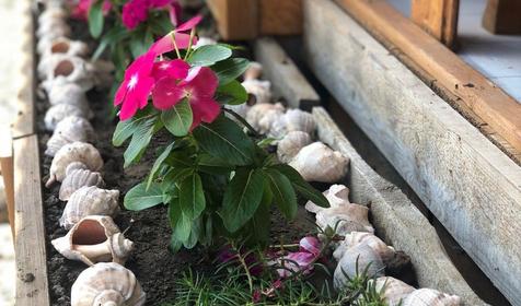 Солнечный Остров