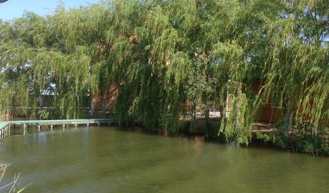 Рыболовно-охотничья база Азовские плавни, Славянский район, х. Ставки