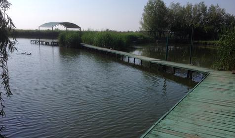 Рыболовно-охотничья база Азовские плавни, Славянский район, х. Ставки