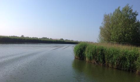 Рыболовно-охотничья база Азовские плавни, Славянский район, х. Ставки