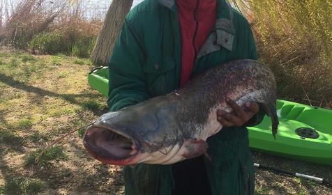 Рыболовно-охотничья база Азовские плавни, Славянский район, х. Ставки