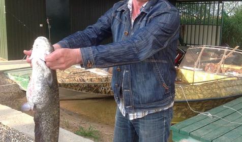 Рыболовно-охотничья база Азовские плавни, Славянский район, х. Ставки