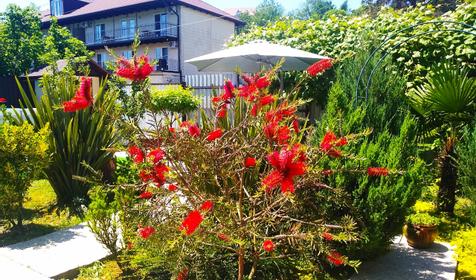 Гостевой дом Вояж, Сочи, Лазаревский район, Лоо