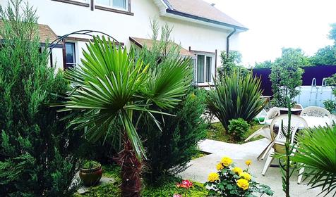 Гостевой дом Вояж, Сочи, Лазаревский район, Лоо