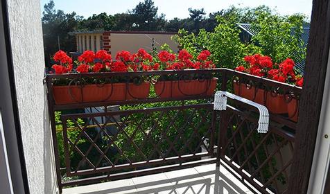 Полулюкс. Мини-отель Alpen House (Альпен Хаус). Геленджик