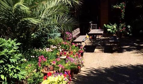 Гостевой дом Валентина. Сочи, Адлер