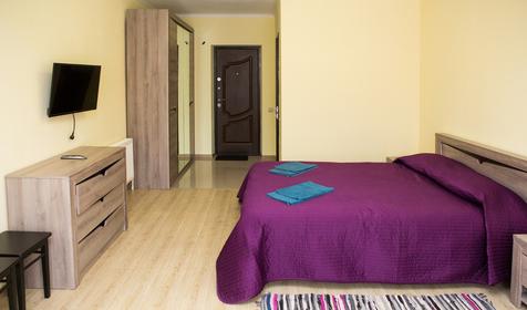 Двухместный номер. Гостевой дом Подкова. Республика Адыгея, Майкопский район, Даховская