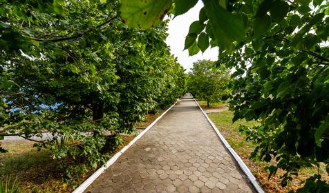 Пансионат Октябрь. Геленджик, Кабардинка