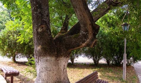 Пансионат Октябрь. Геленджик, Кабардинка