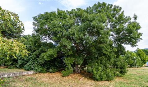Пансионат Октябрь. Геленджик, Кабардинка