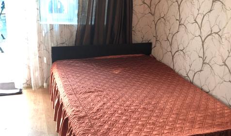 Однокомнатный люкс, 1 этаж