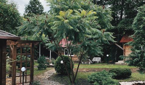 Volkov House (Волков хаус)