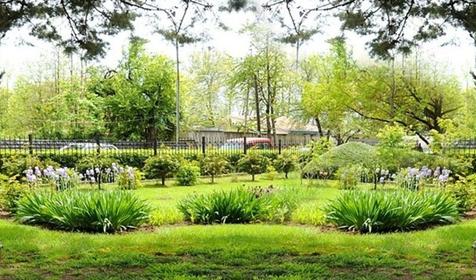 Санаторий Бирюза. Сочи, Лазаревское