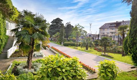 Санаторий Бирюза. Сочи, Лазаревское