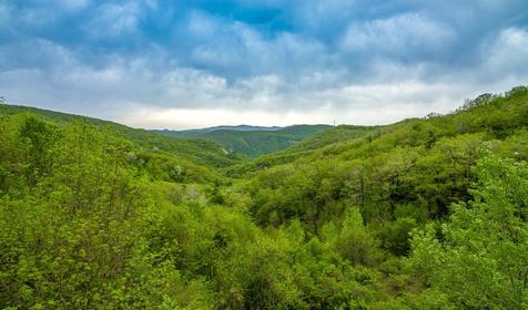 Краснодарский край