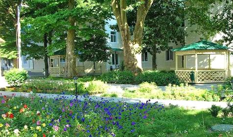 Территория нижней площадки ДОЛ Зеленый огонек, Туапсинский район, с. Дедеркой