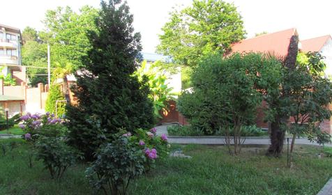 Отель-пансион Пенаты, г. Сочи, Лазаревский район, п. Лоо