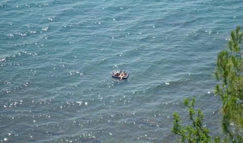 Бетта. Семейный отдых