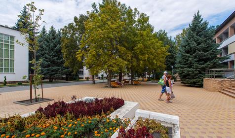 Территория. Пансионат Приморский, г. Геленджик, с. Дивноморское