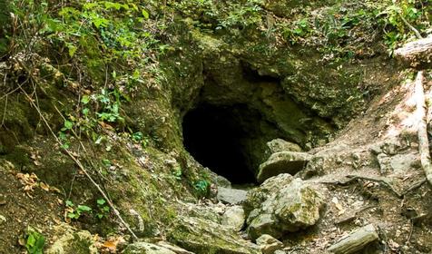 Фанагорийское. Горячий Ключ