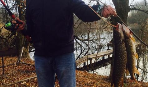 Рыболовная база Золотой карась, Динская