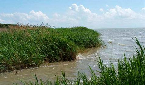 Озеро Ханское. Ейский район