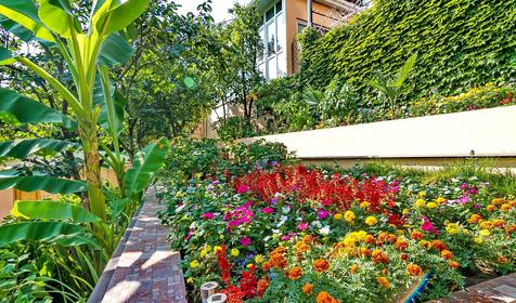 Гостевой дом Екатерина, г. Сочи, Лазаревский район, п. Лазаревское